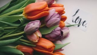 愛の花 こころの調律